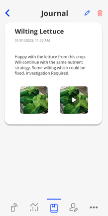 A screenshot of a cell phone

Description automatically generated with medium confidence